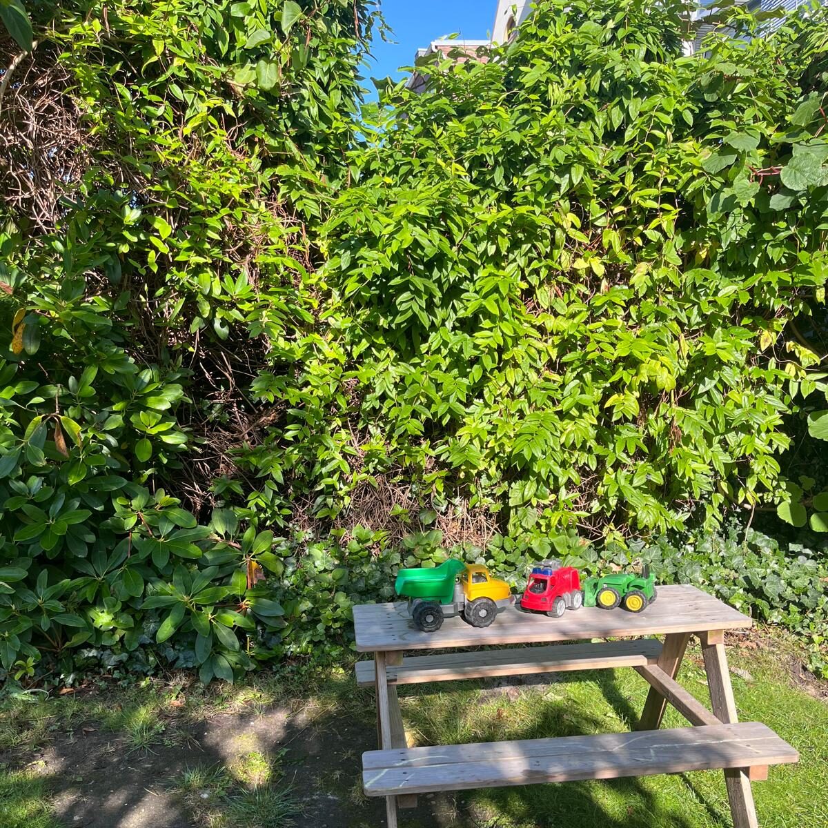 Kindergruppe ABRAXAS Bremen Garten